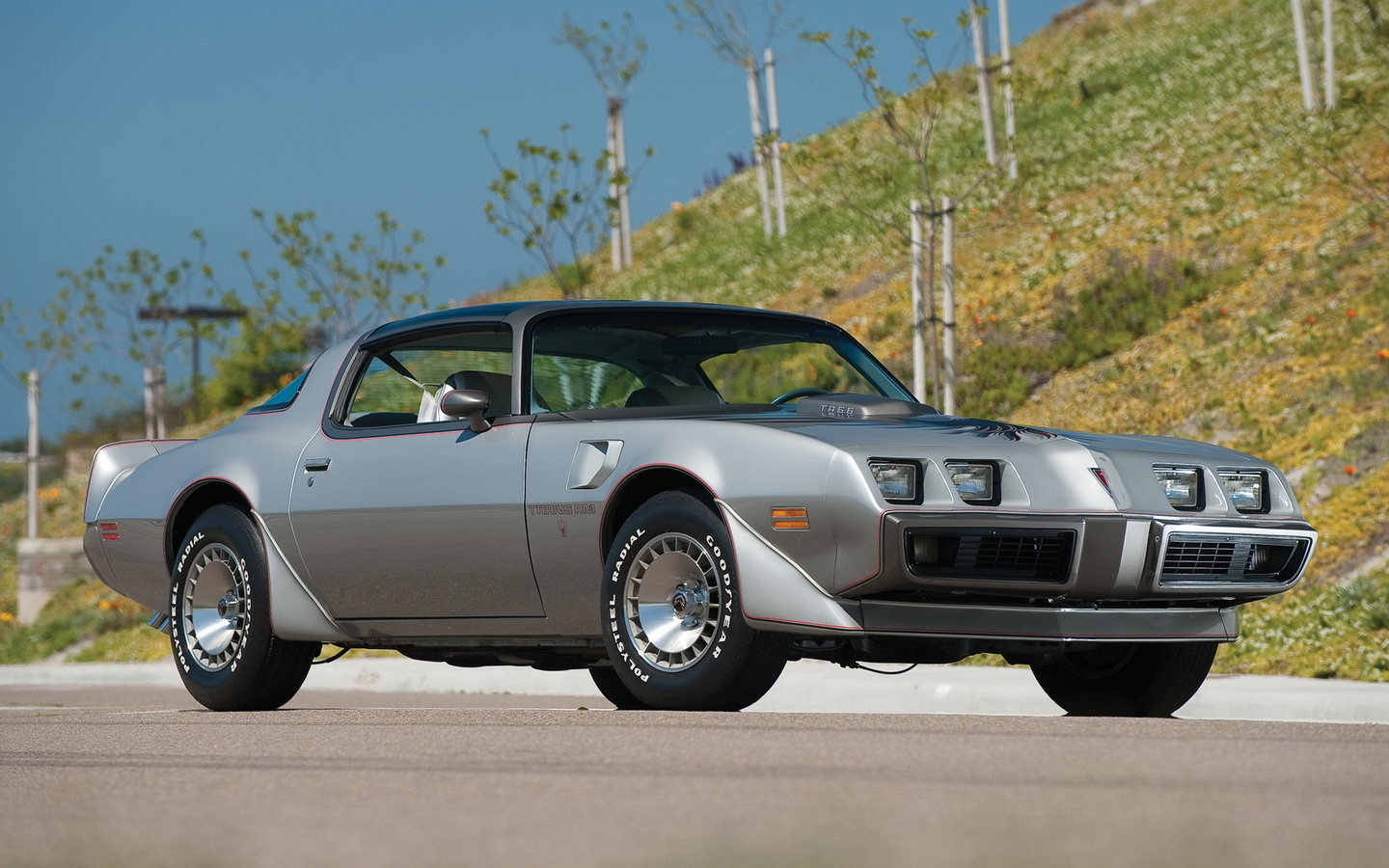 pontiac, firebird, 1979, trans am