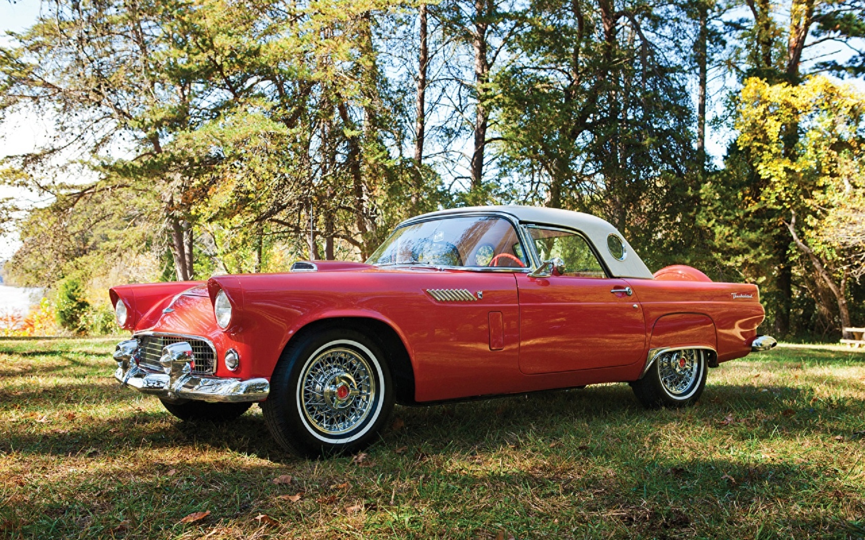 ford, thunderbird, 1956