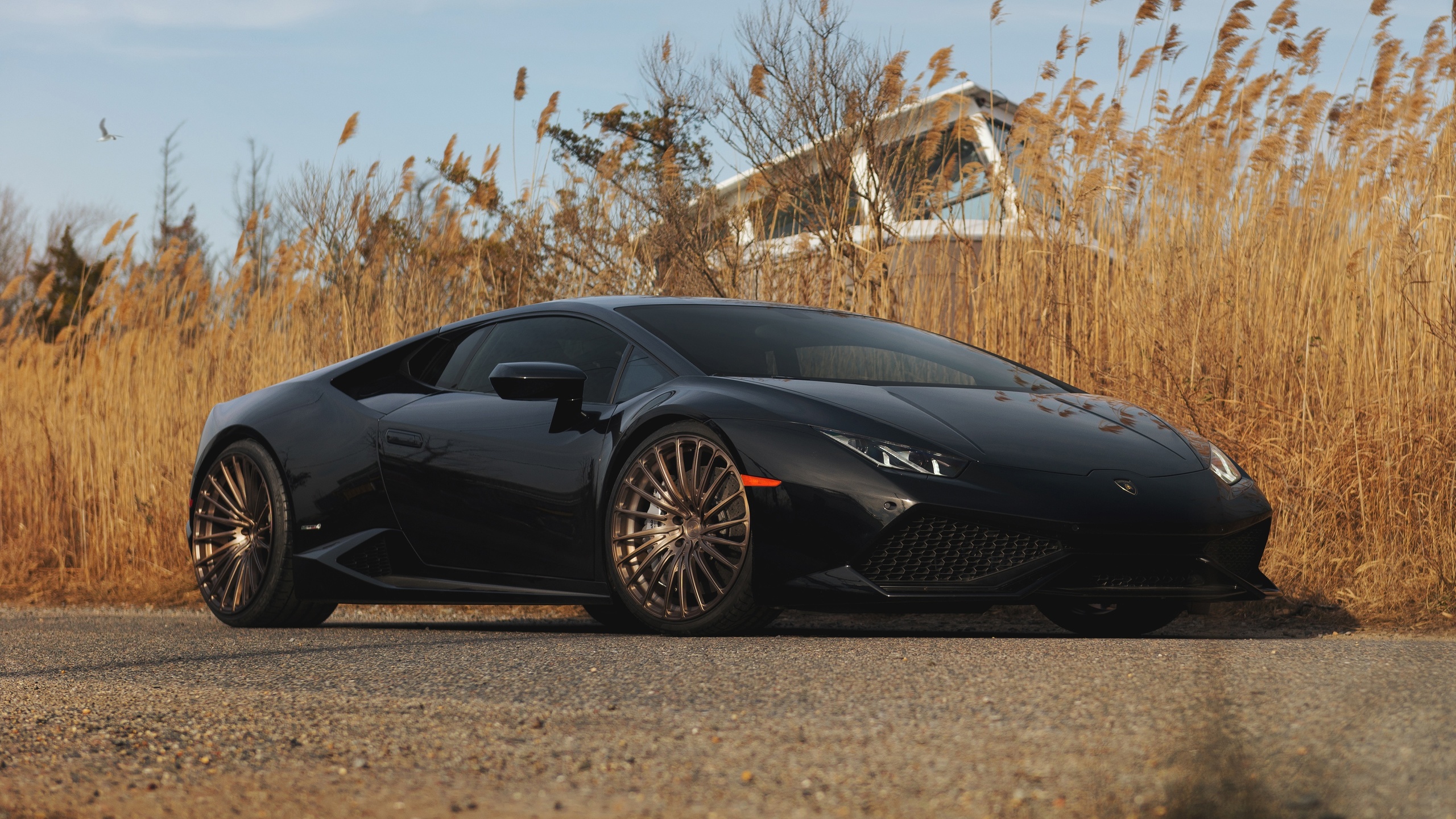 , lamborghini, huracan