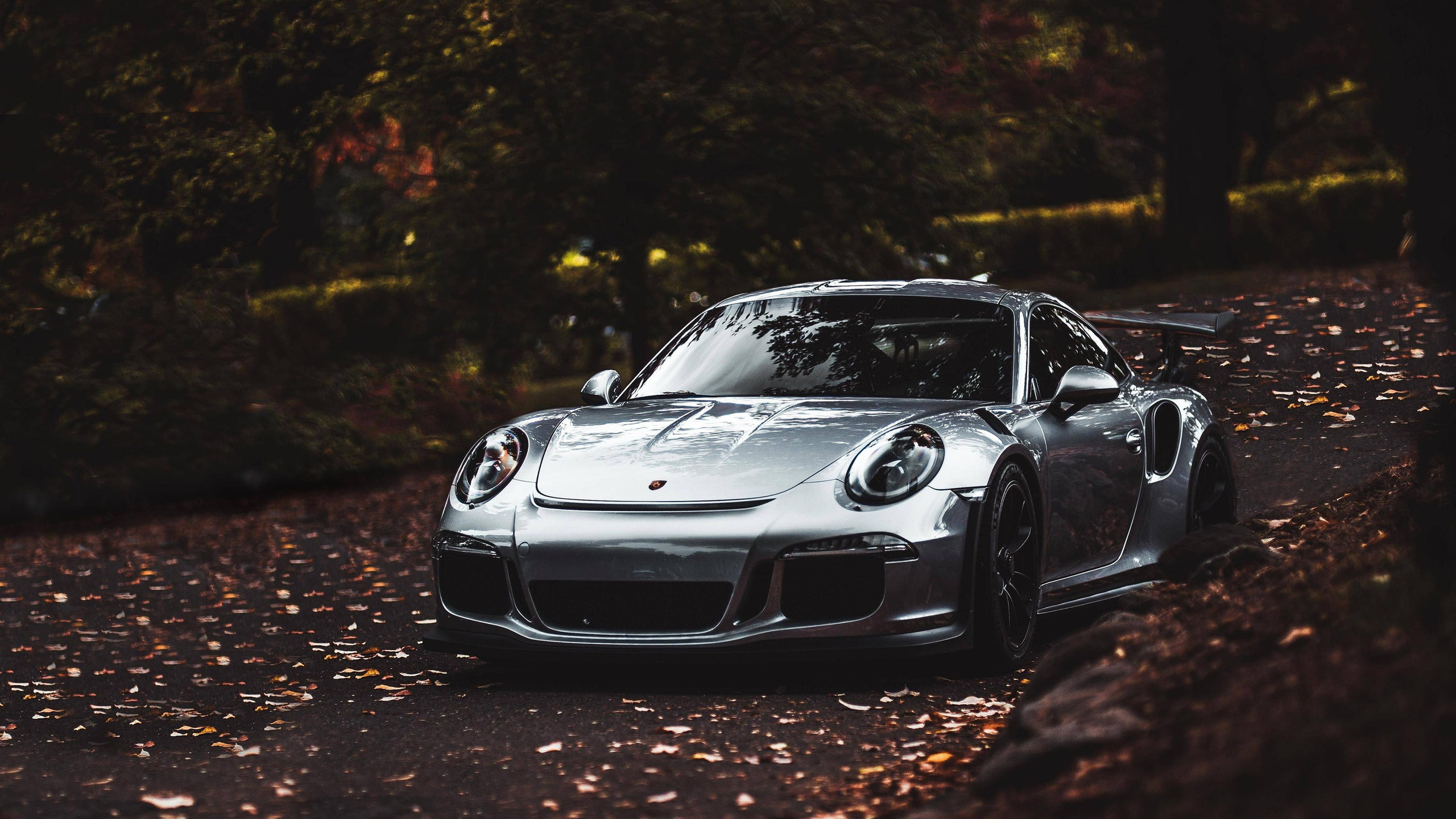 porsche, 911, gt3, rs, silver