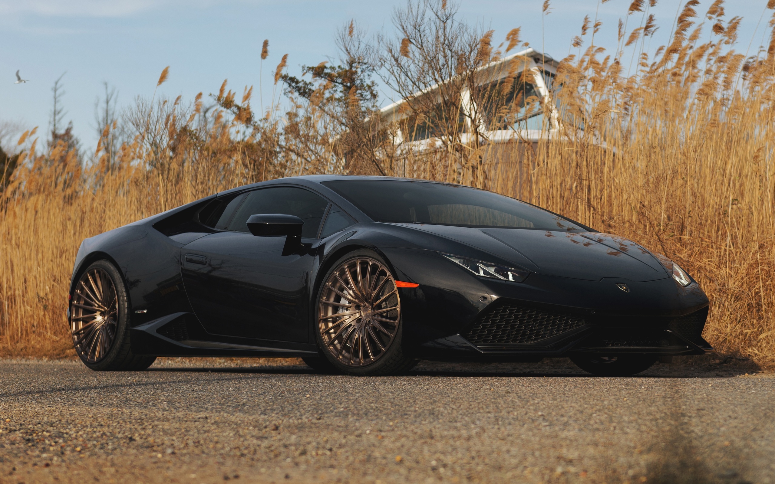 , lamborghini, huracan