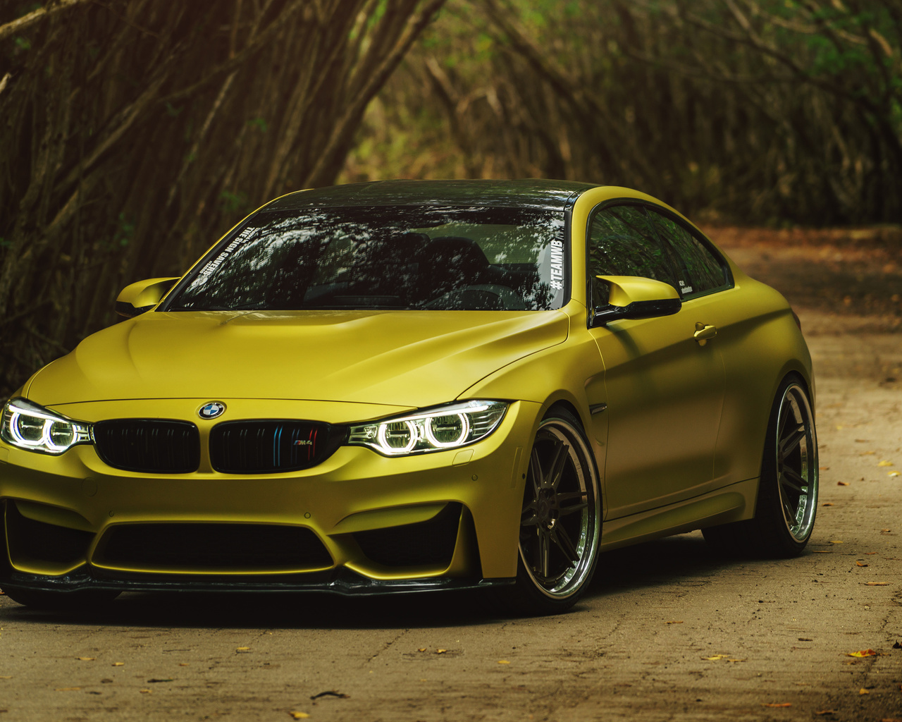 , bmw m4, 