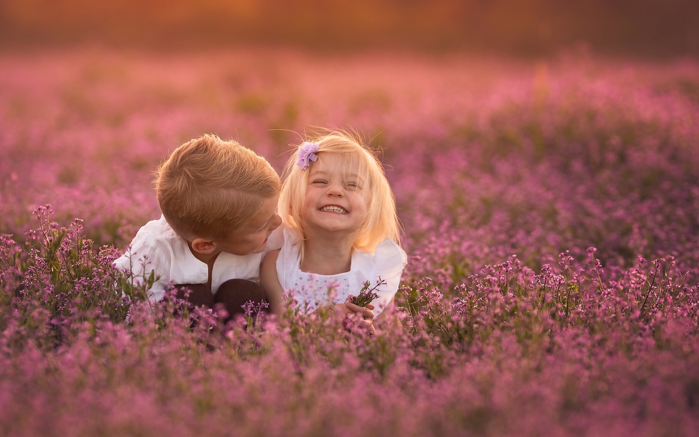 , , , , , , , , , , lisa holloway