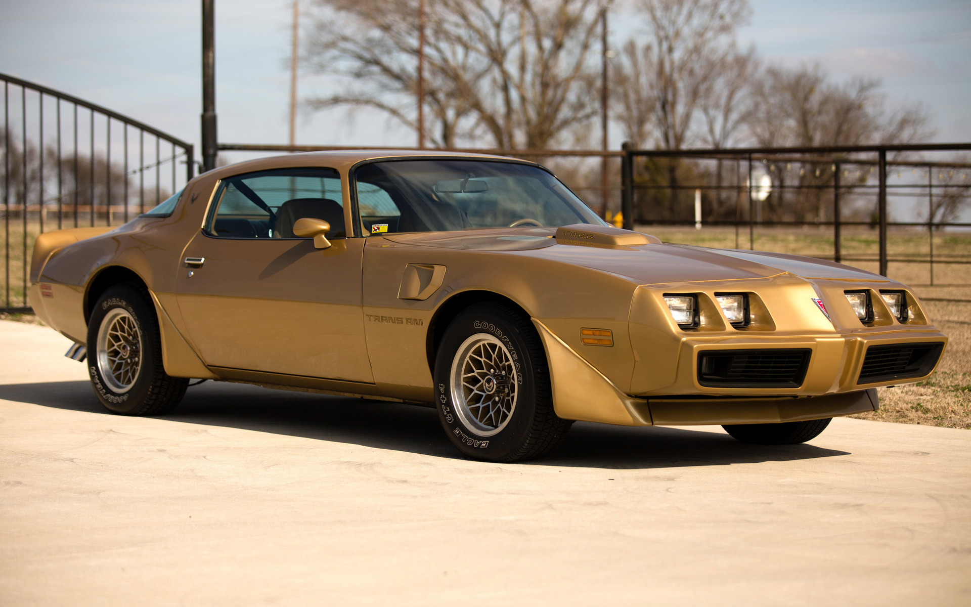 pontiac, firebird, 1979, trans am