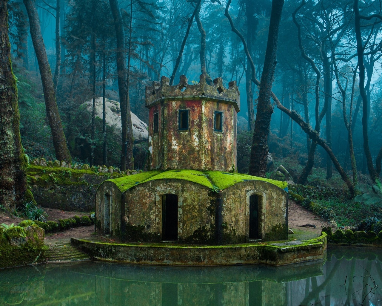 nature, architecture, forest, old building, water