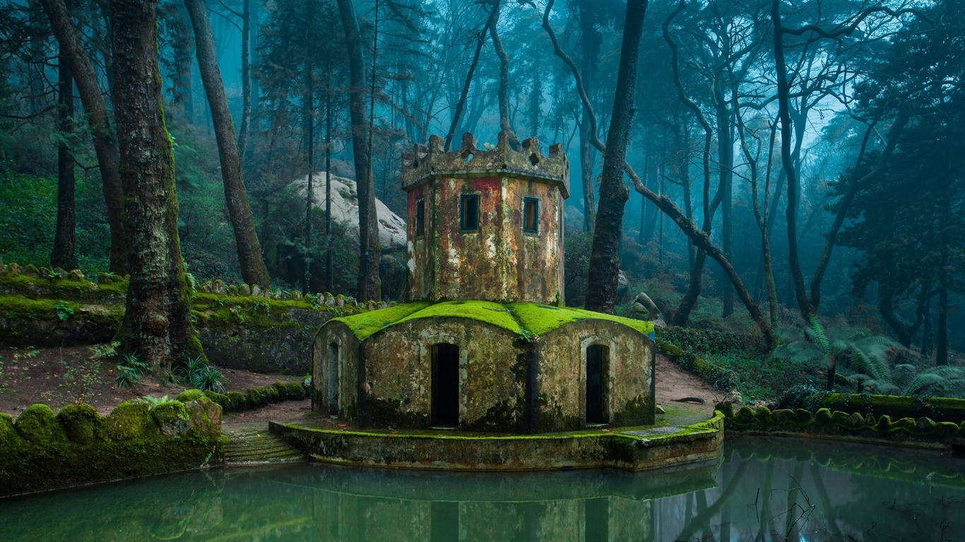 nature, architecture, forest, old building, water