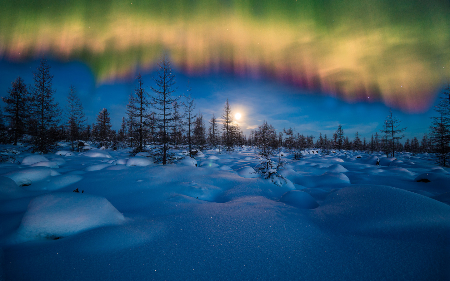 , , , , , ,  , the sky, night, snow, forest, winter, landscape, northern lights