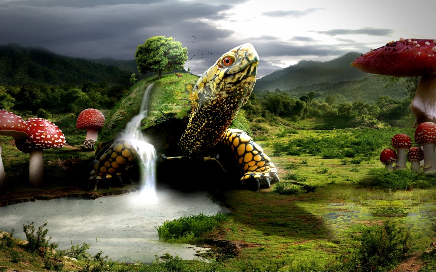fantasy wallpapers. turtle, turtles, landscape, mushroom, waterfalls