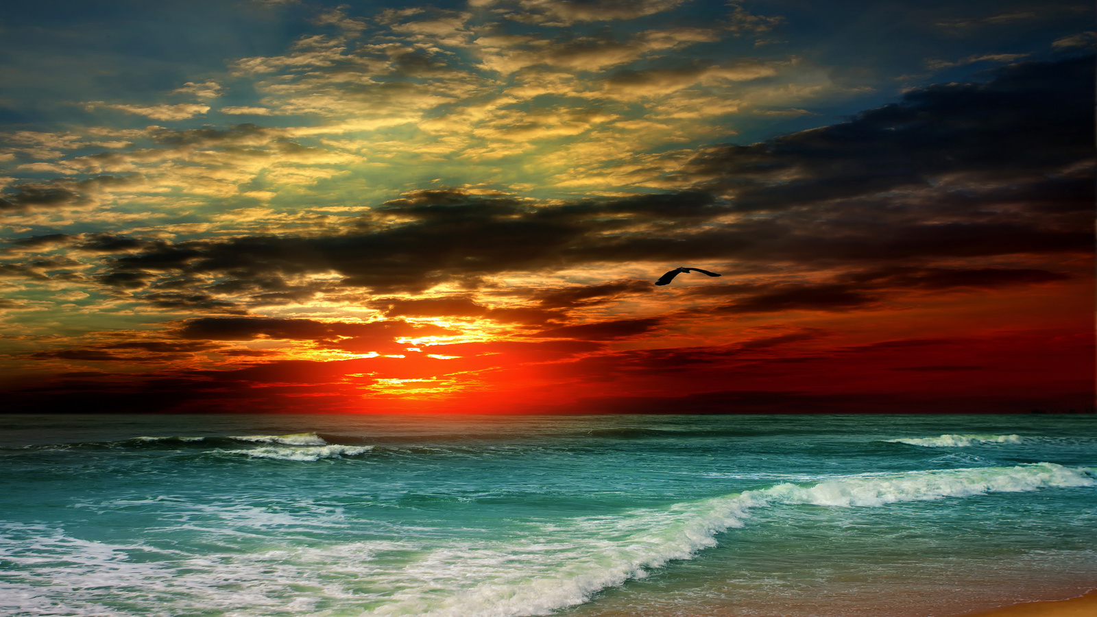 , , , , , , , , , , the sky, bird, clouds, tropics, shore, wave, sunset, sea, sand, beach