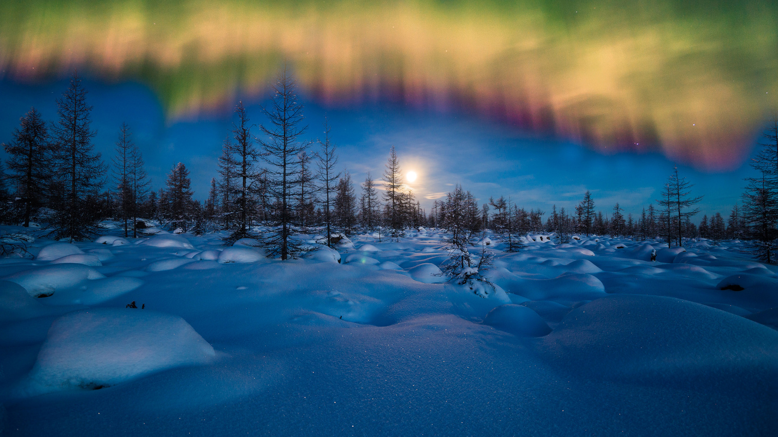 , , , , , ,  , the sky, night, snow, forest, winter, landscape, northern lights