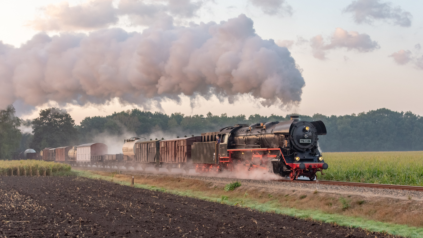 , steam, locomotive, railroad, train, grass, apeldoorn, guelders, netherlands