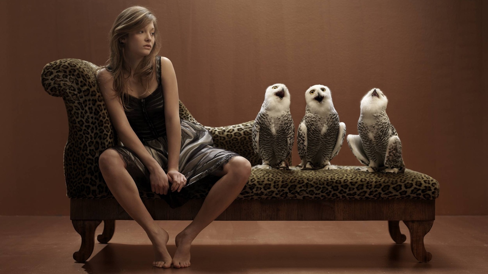 funny, owl, owls, women, brunette, situation