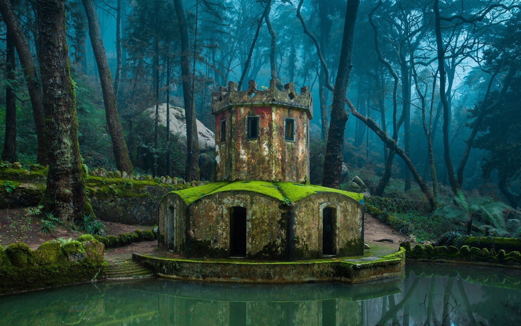 nature, architecture, forest, old building, water