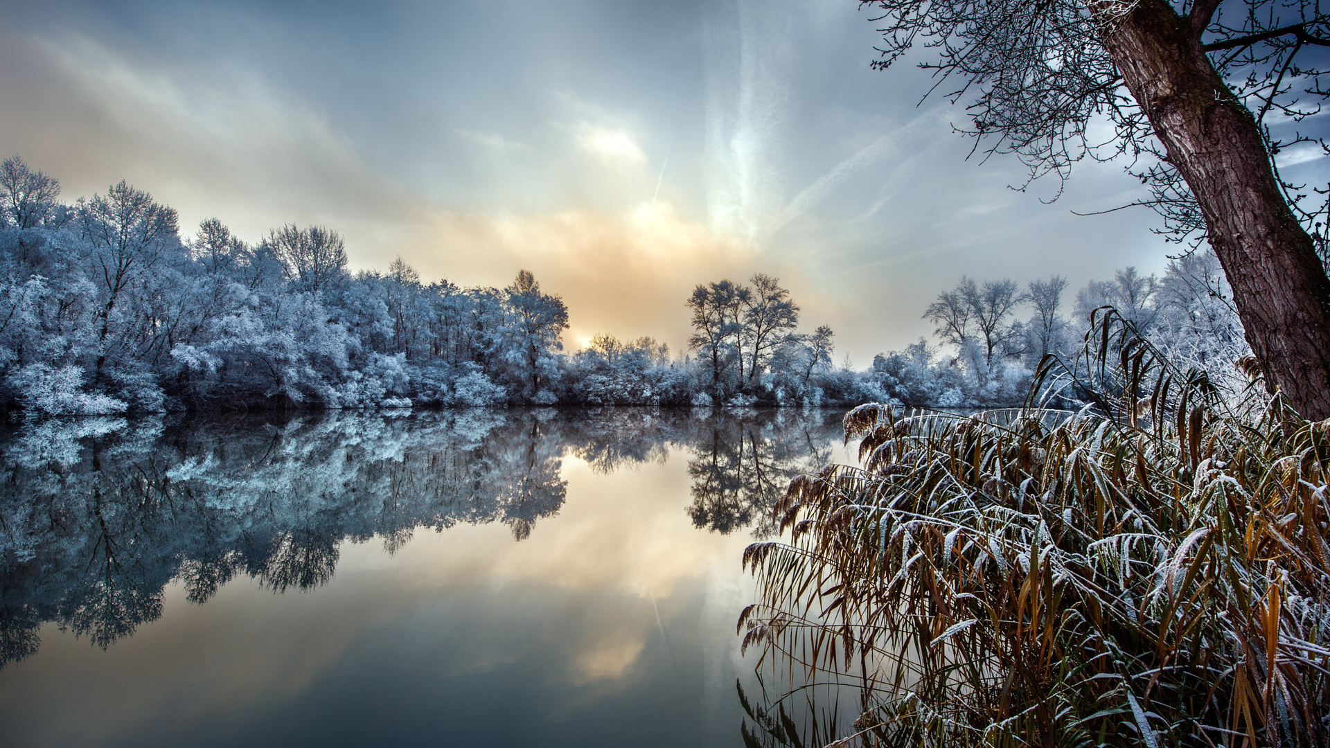 , , , , , , robert didierjean