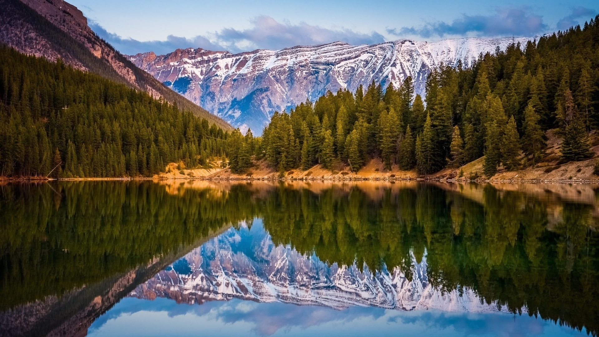 landscape, pine trees, lake