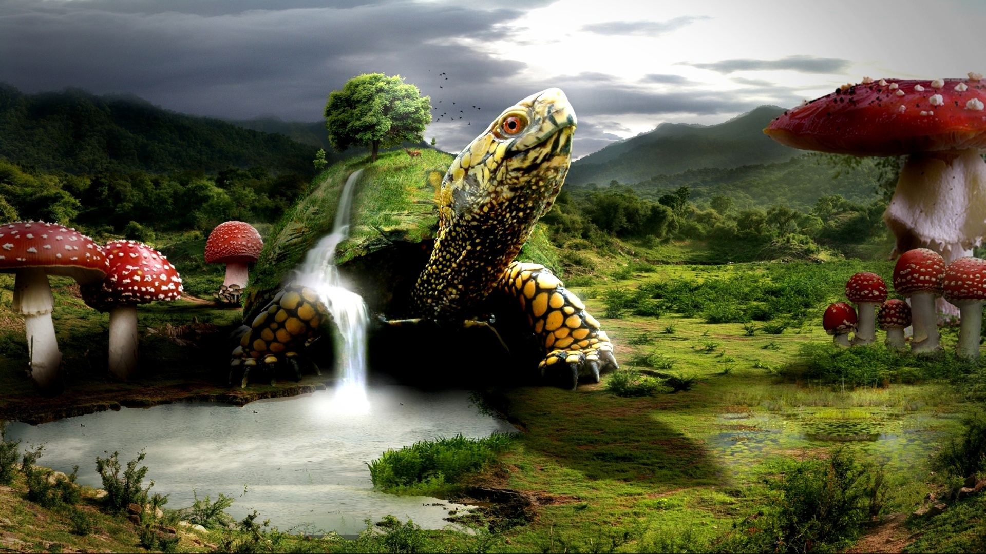 fantasy wallpapers. turtle, turtles, landscape, mushroom, waterfalls