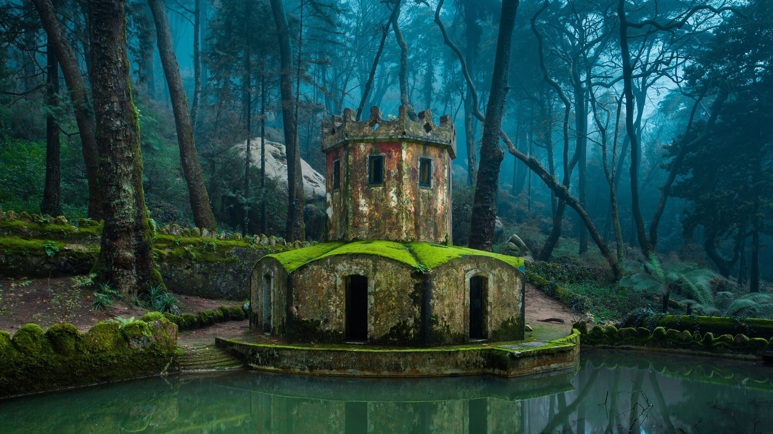 nature, architecture, forest, old building, water