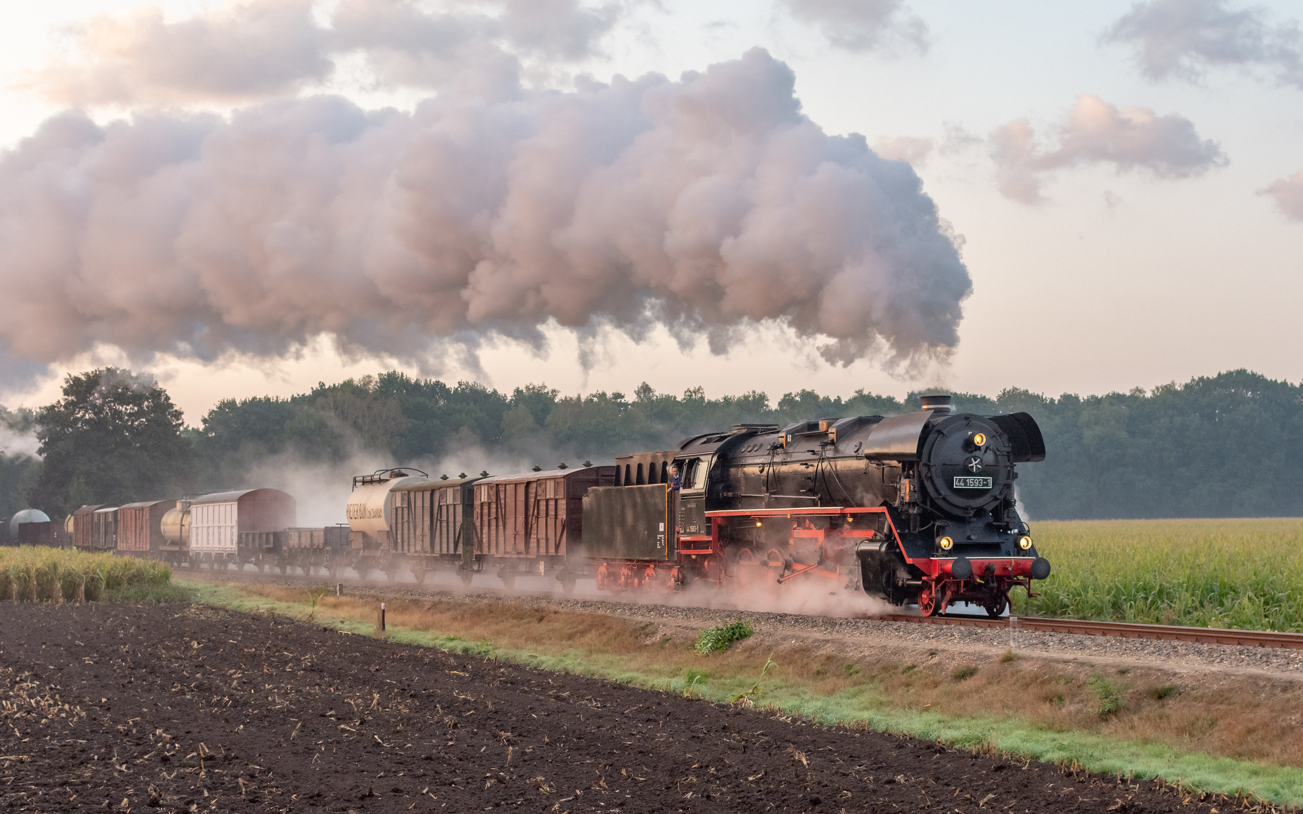 , steam, locomotive, railroad, train, grass, apeldoorn, guelders, netherlands