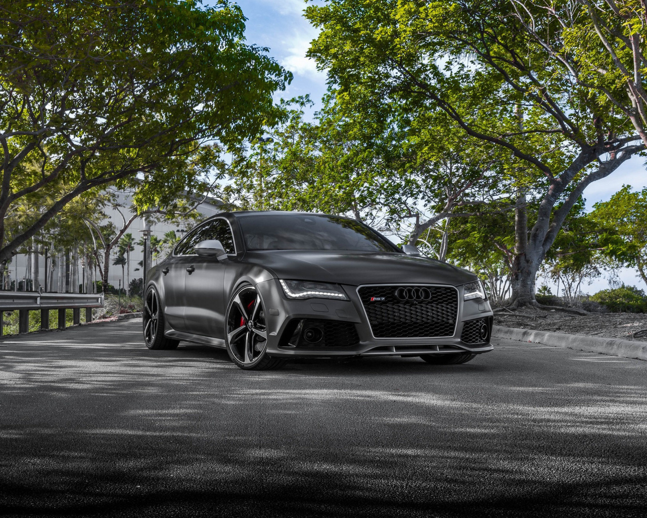 , rs7, 