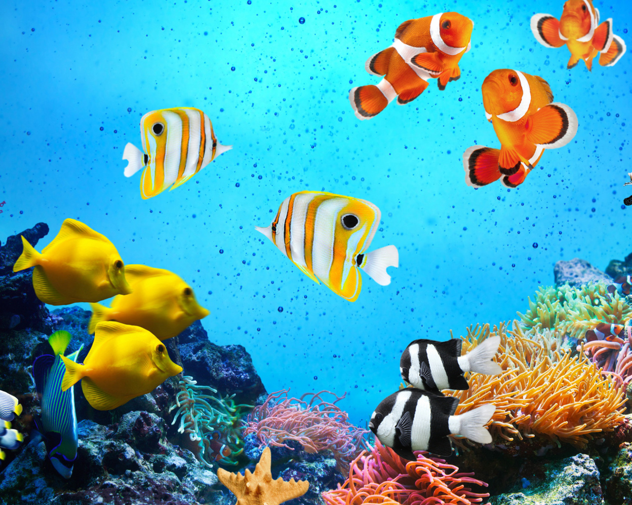 , , , , , , , , , , , , , , , , ,  