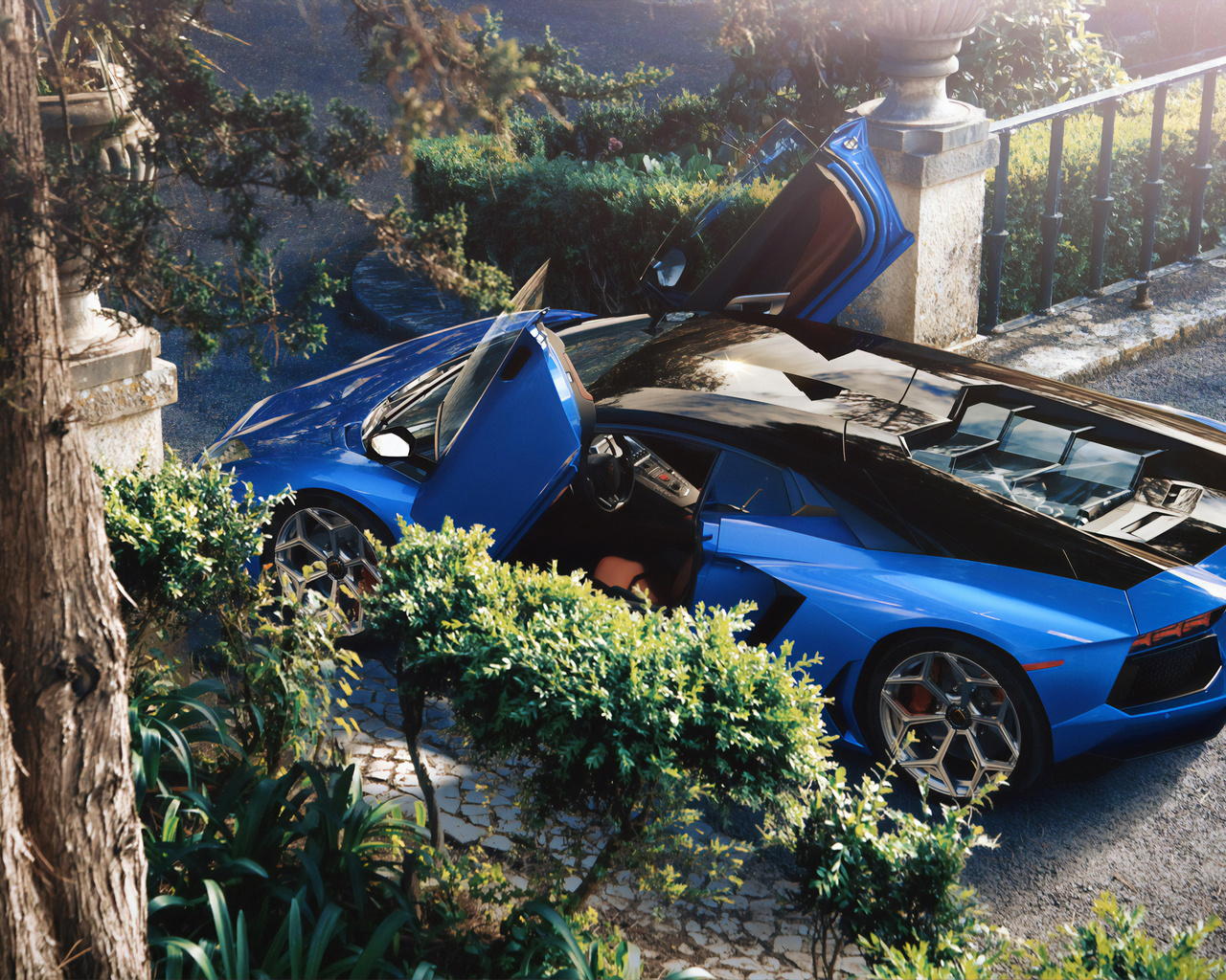 blue, aventador