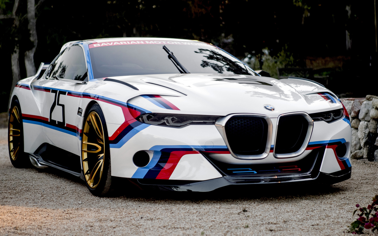 bmw, 3 csl, hommage