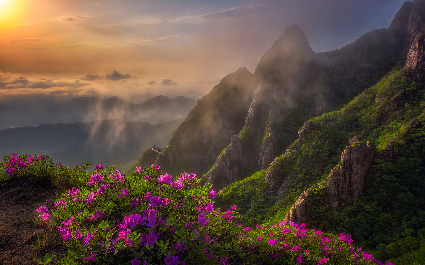 , , , , , , , , , , , , , , , wolchulsan