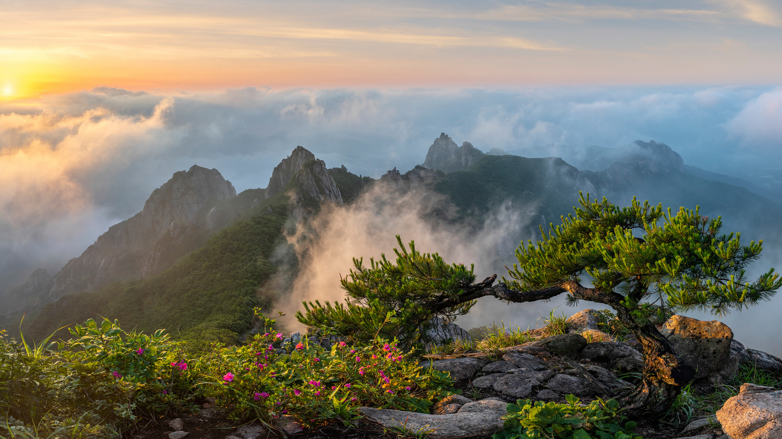 , , , , , , , , jae youn ryu, , 