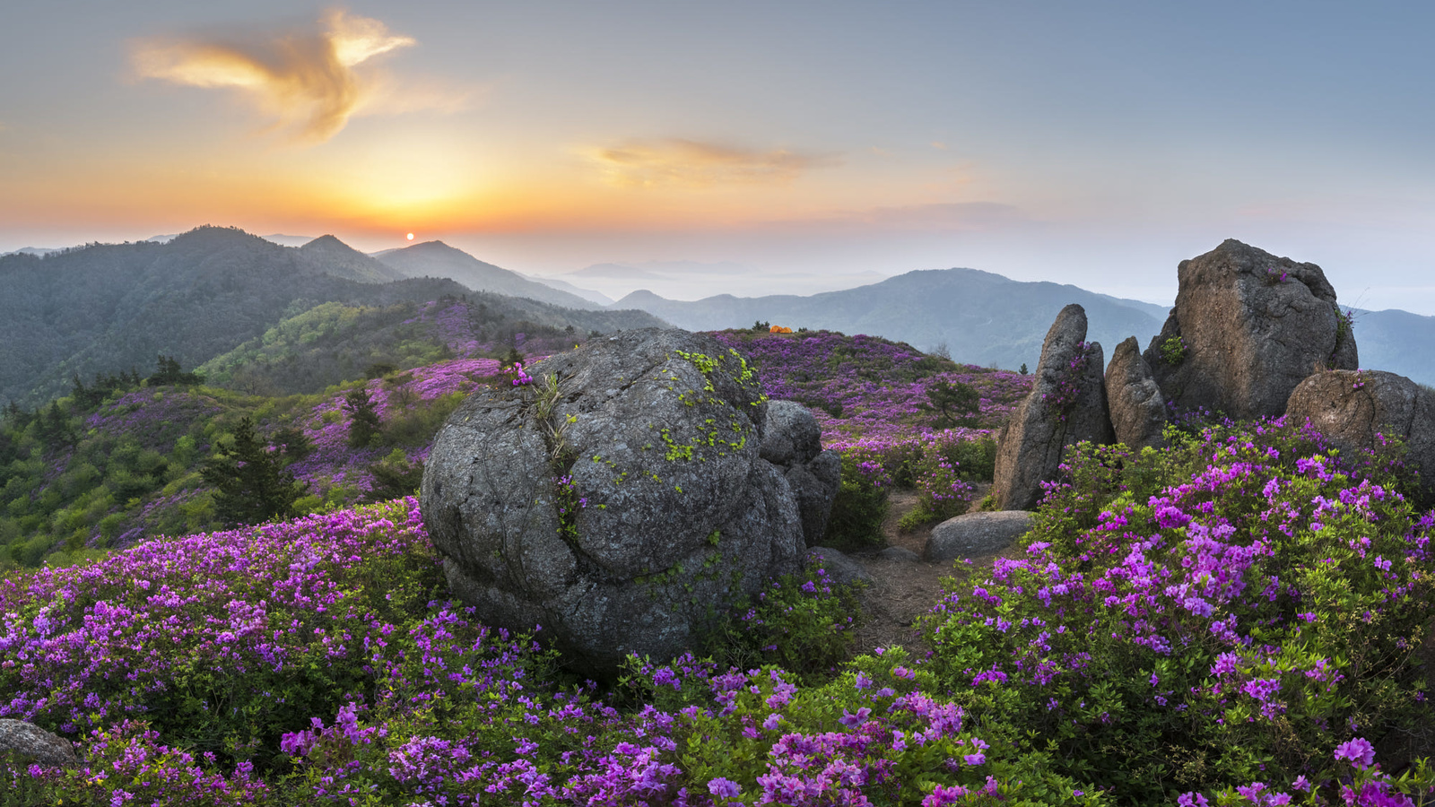 , , , , , , , , , , , , , , , jae youn ryu