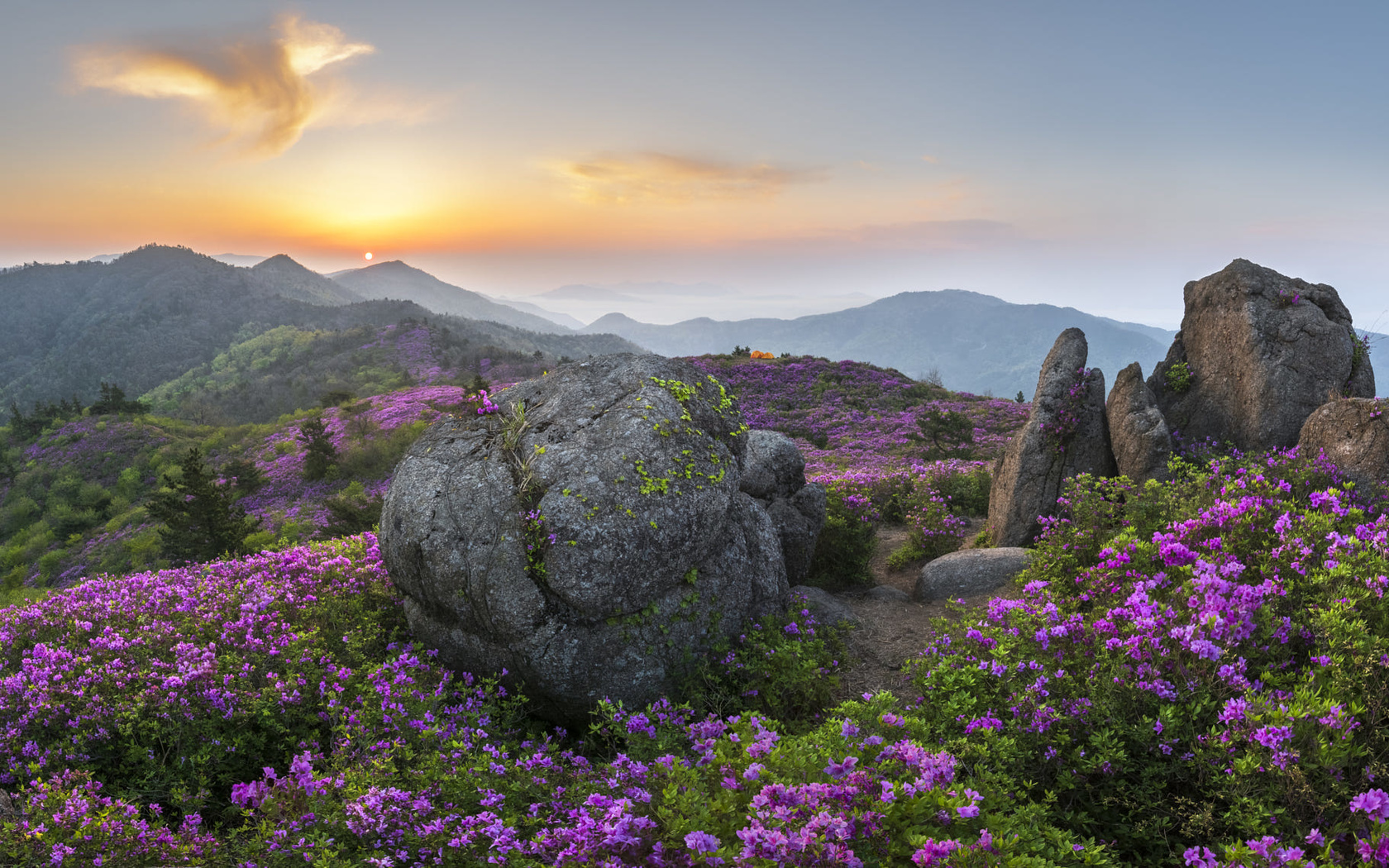 , , , , , , , , , , , , , , , jae youn ryu