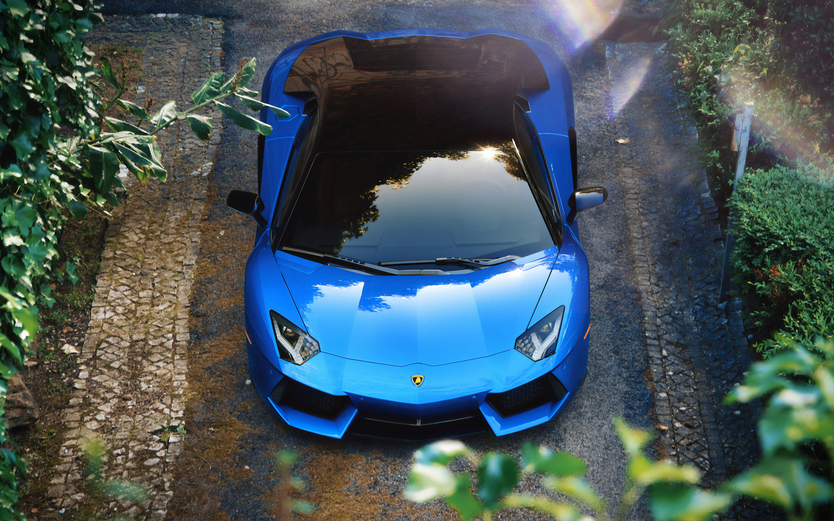 blue, aventador