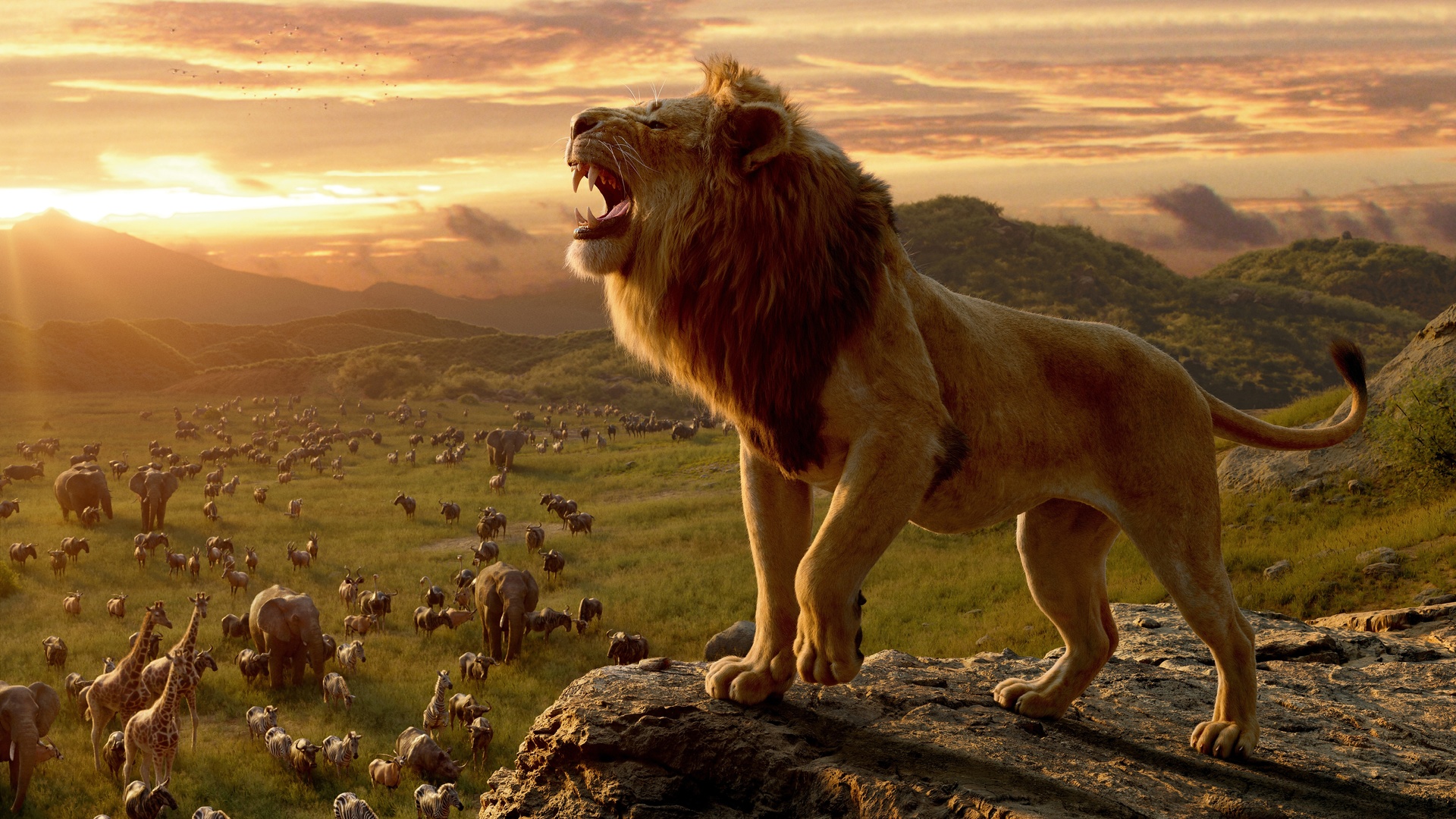 lion, king, movie