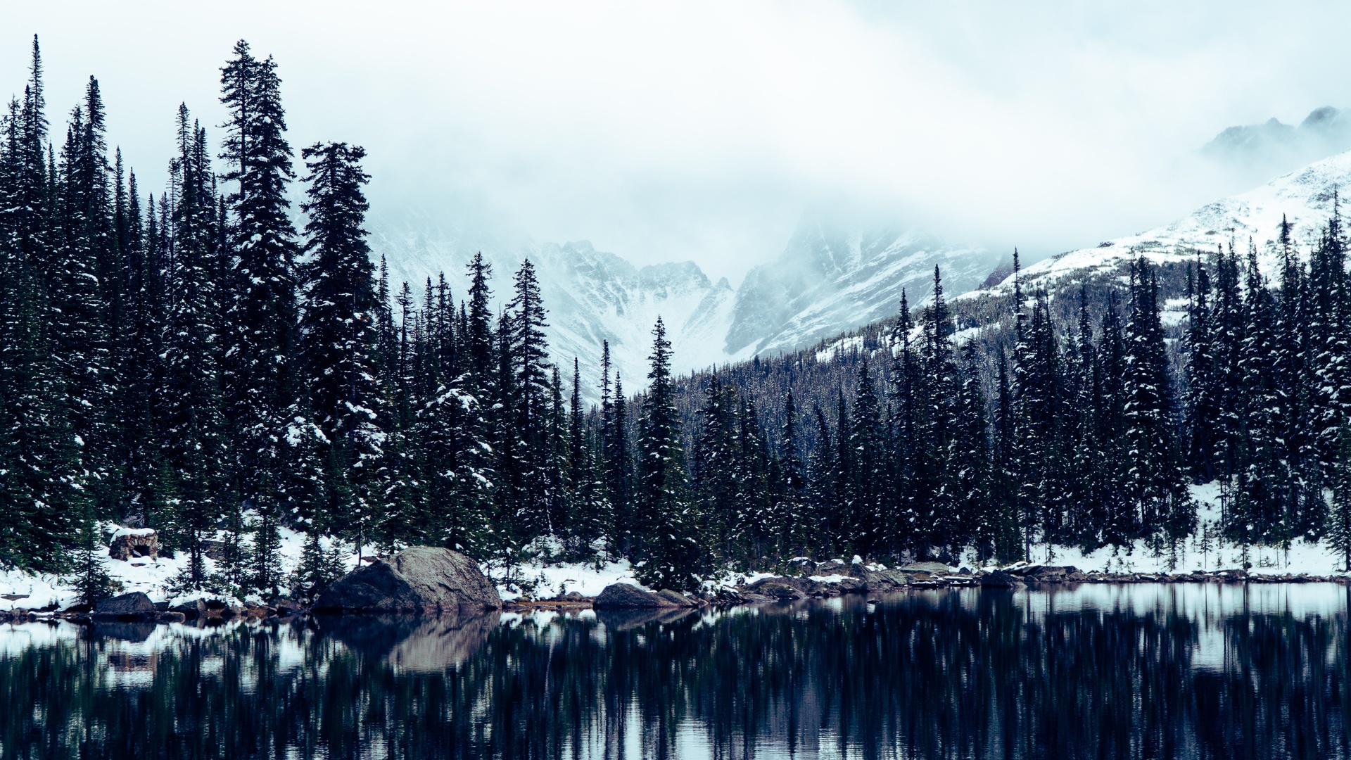 jasper, national park, alberta, canada