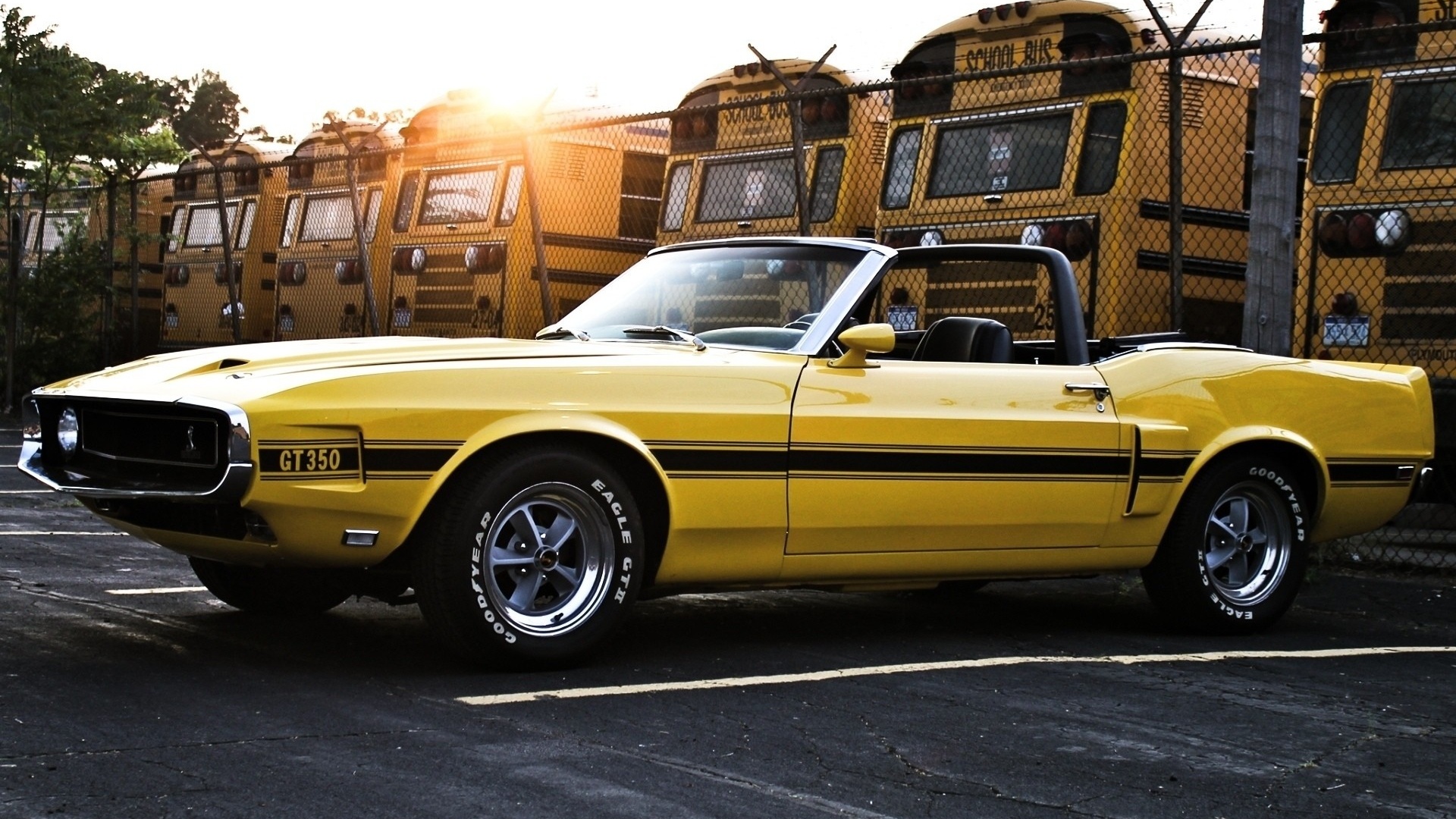 american, classic, car, ford, shelby, gt350