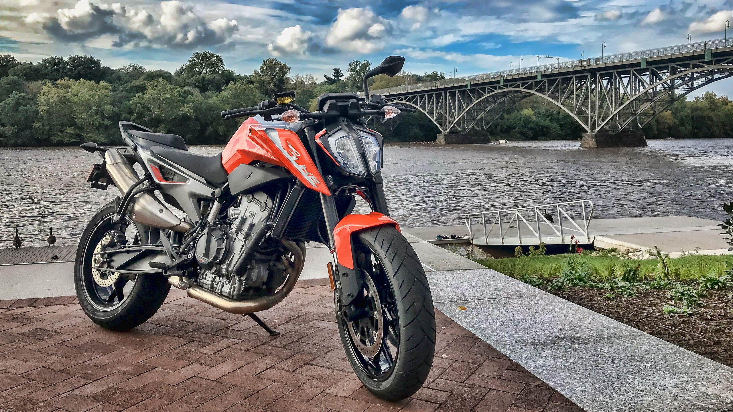 ktm, 790, duke, 