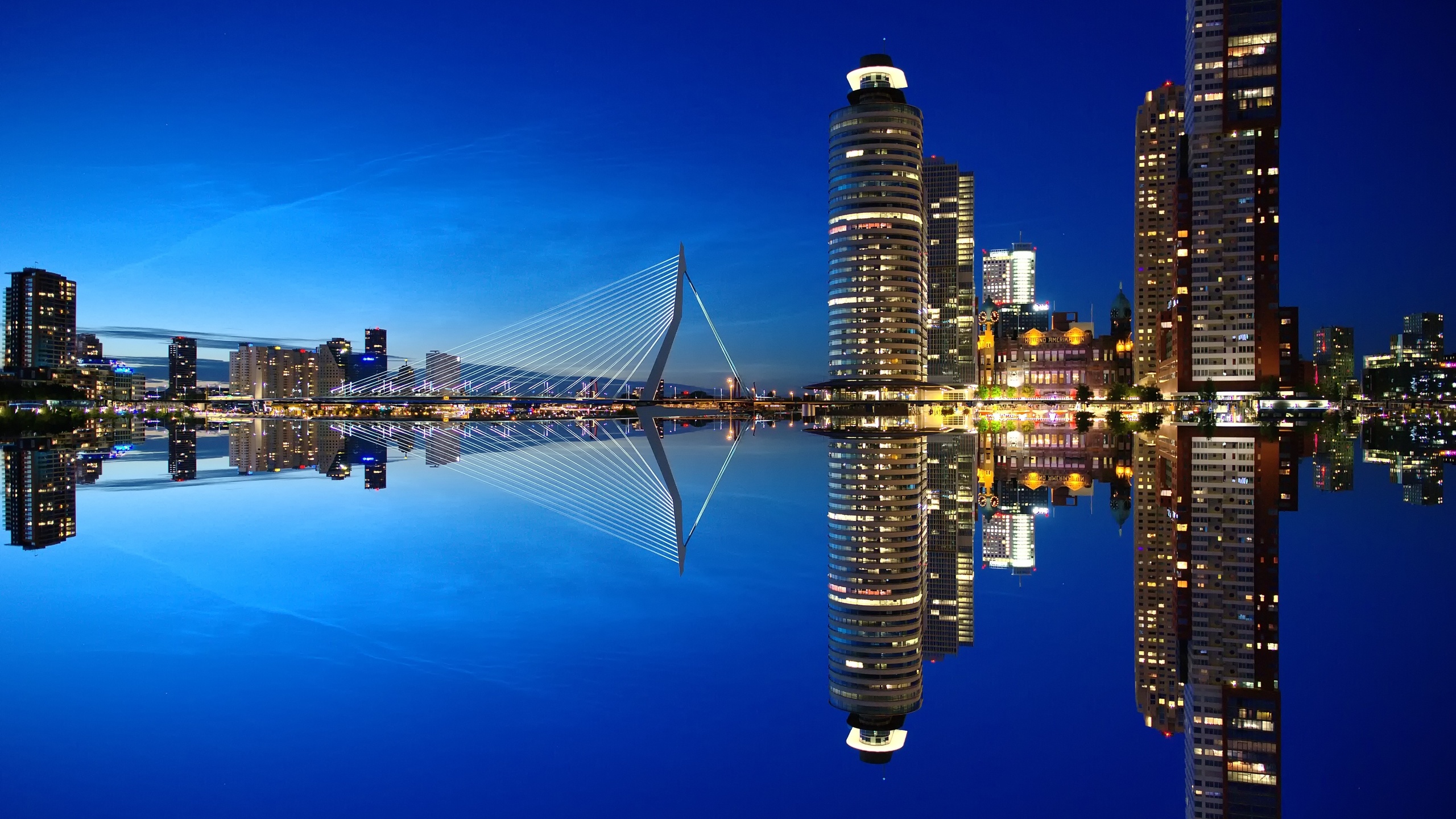 , , , , , , , , , , the sky, holland, night, rotterdam, water, the city, skyscrapers, architecture, port, netherlands