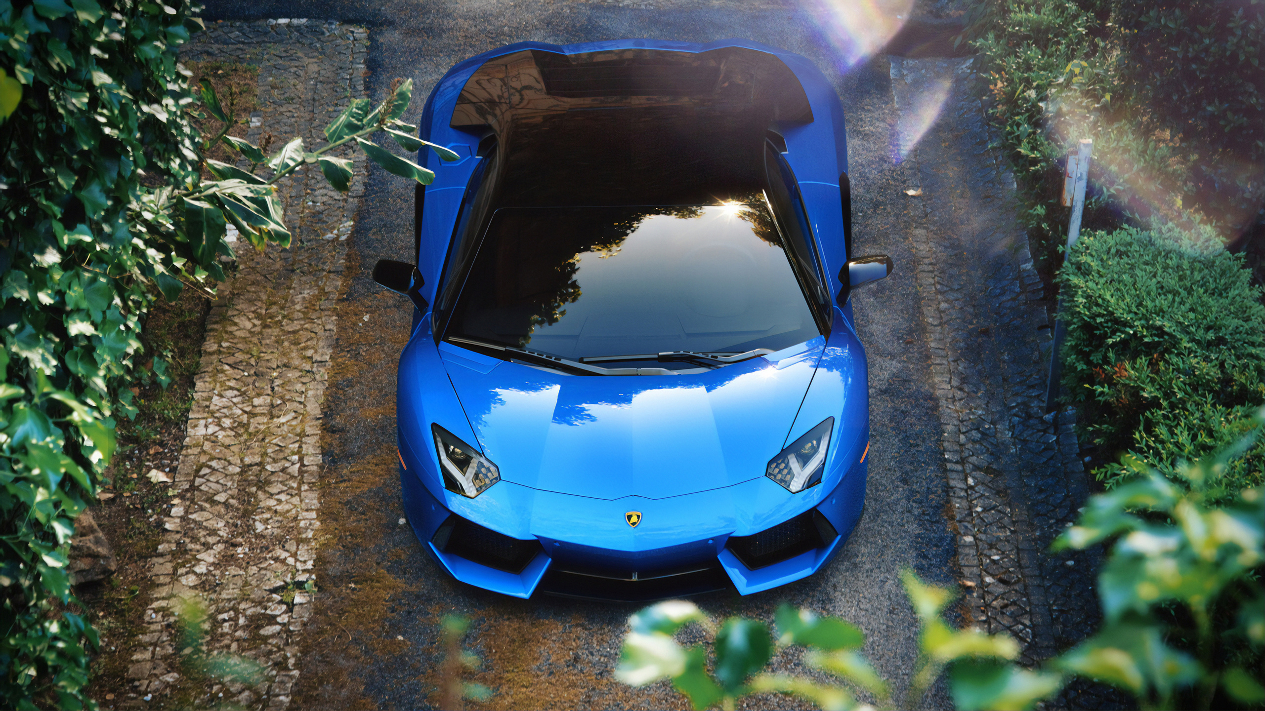 blue, aventador