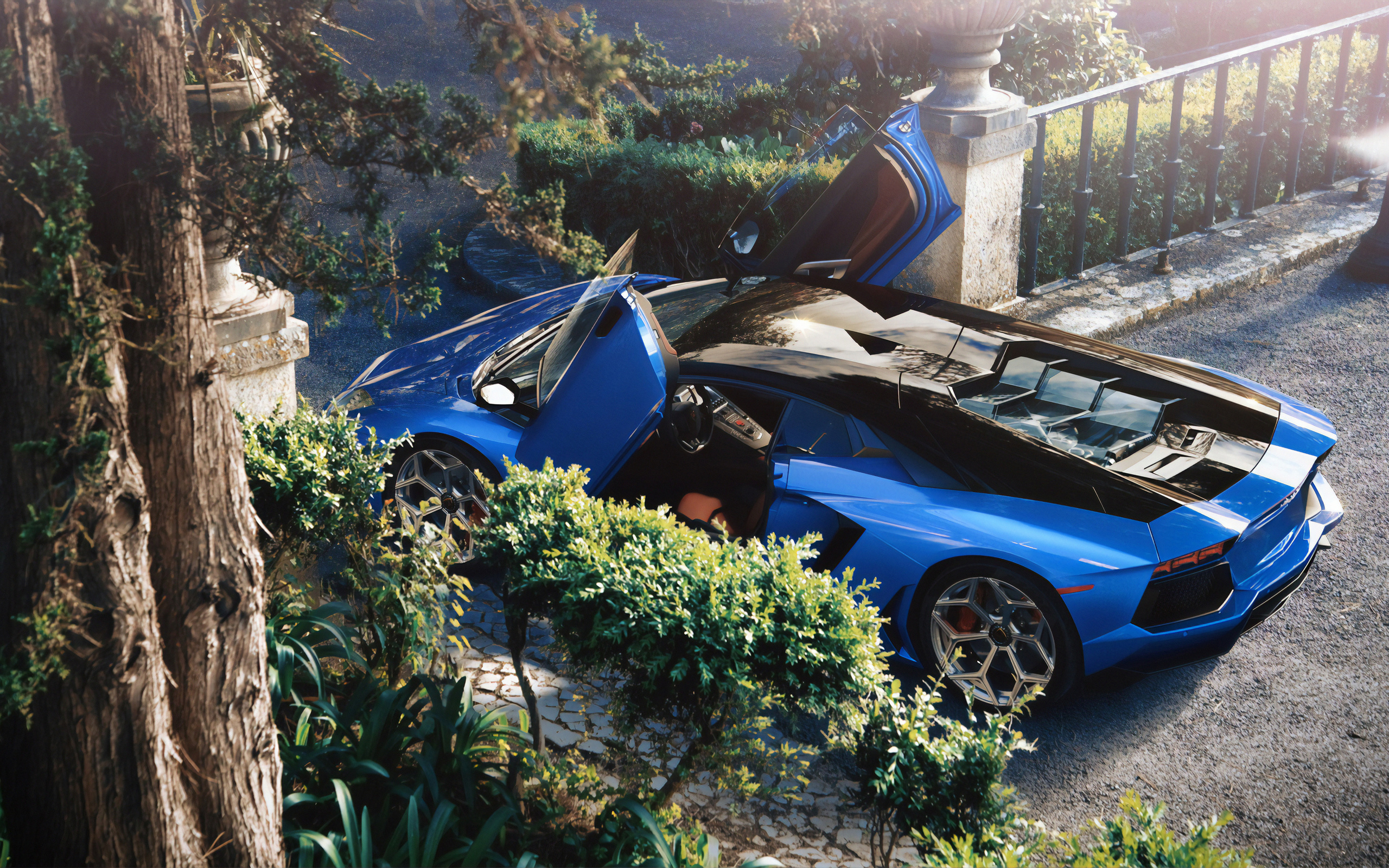 blue, aventador