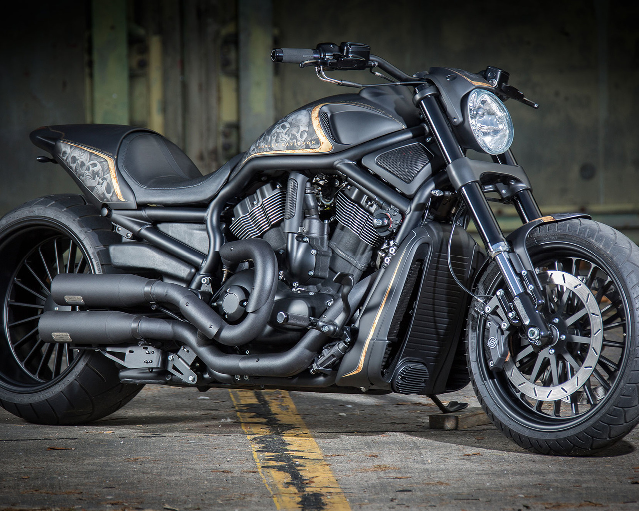 harley-davidson, vrscdx, night rod, specia