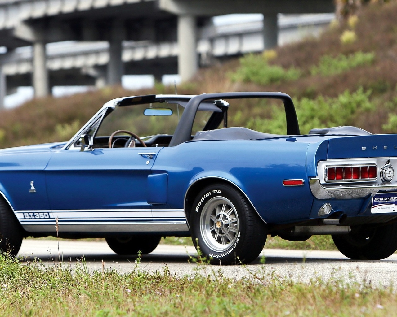 ford, shelby, gt350