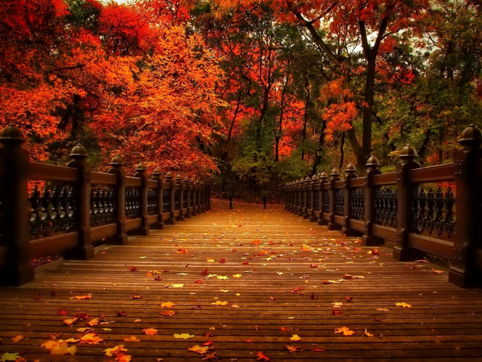 , , view, walk, autumn, , 