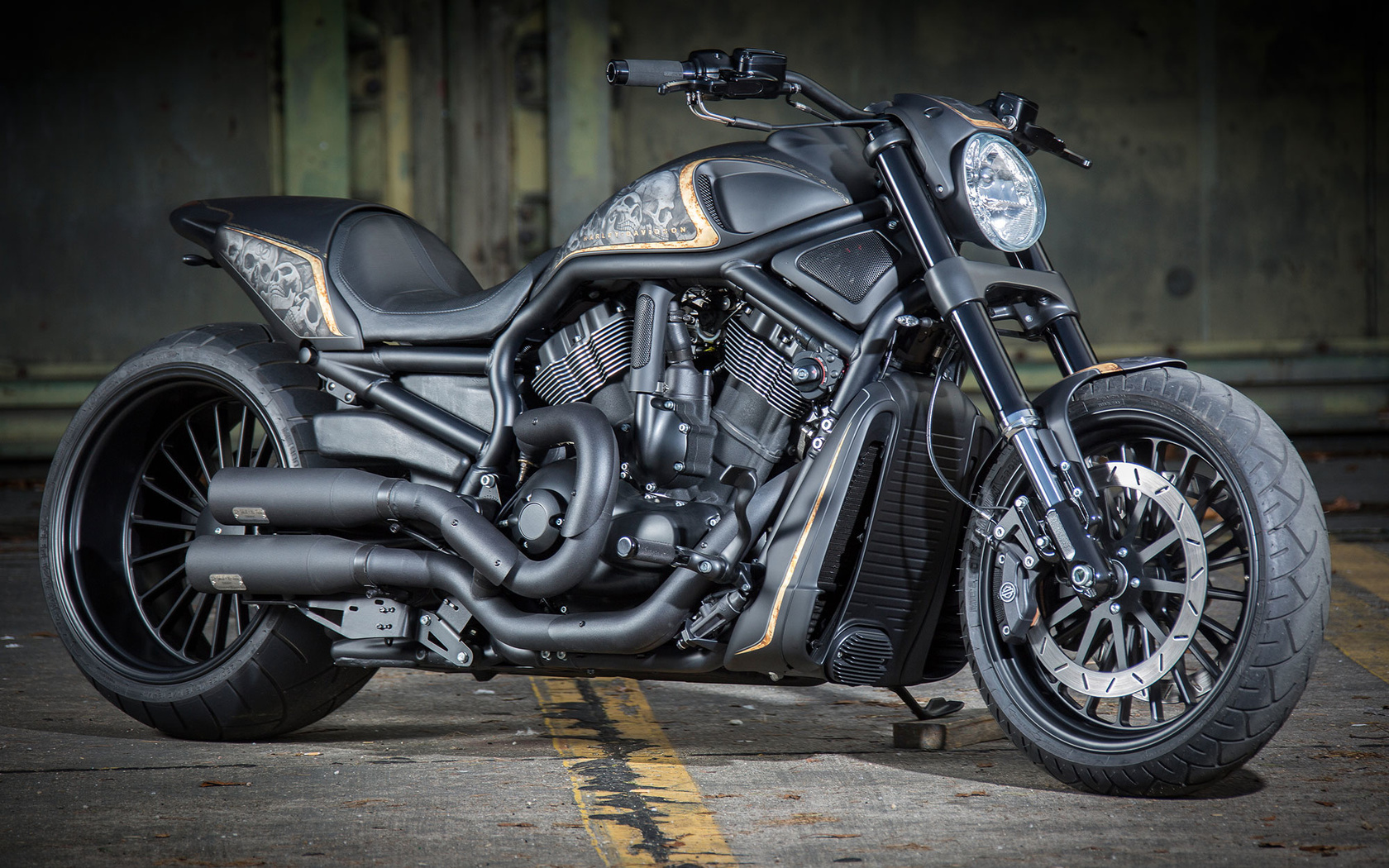 harley-davidson, vrscdx, night rod, specia