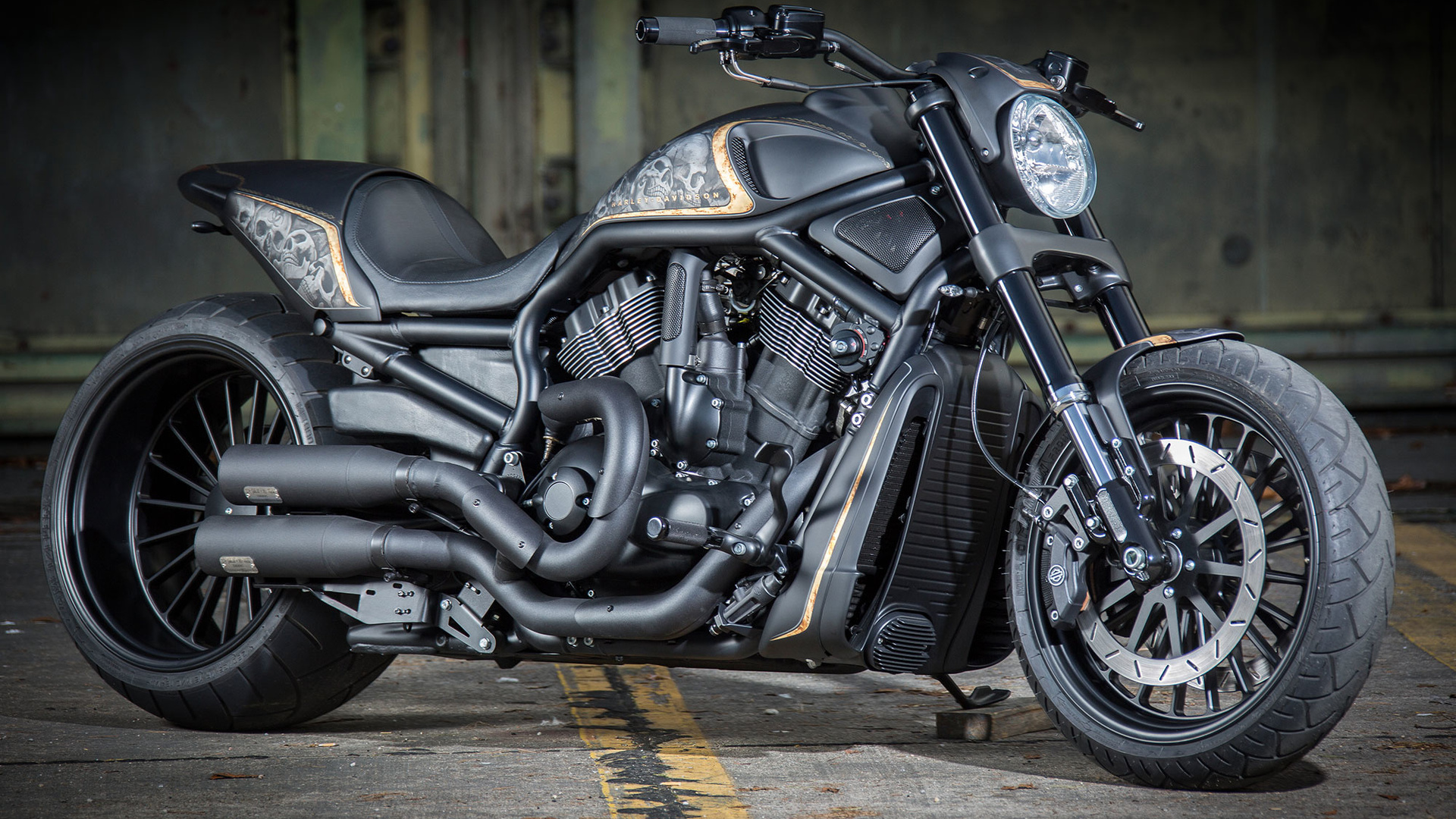 harley-davidson, vrscdx, night rod, specia