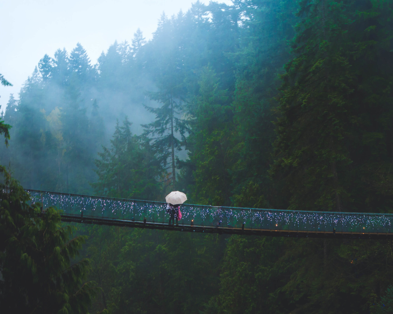 capilano, suspension bridge, west vancouver, canada