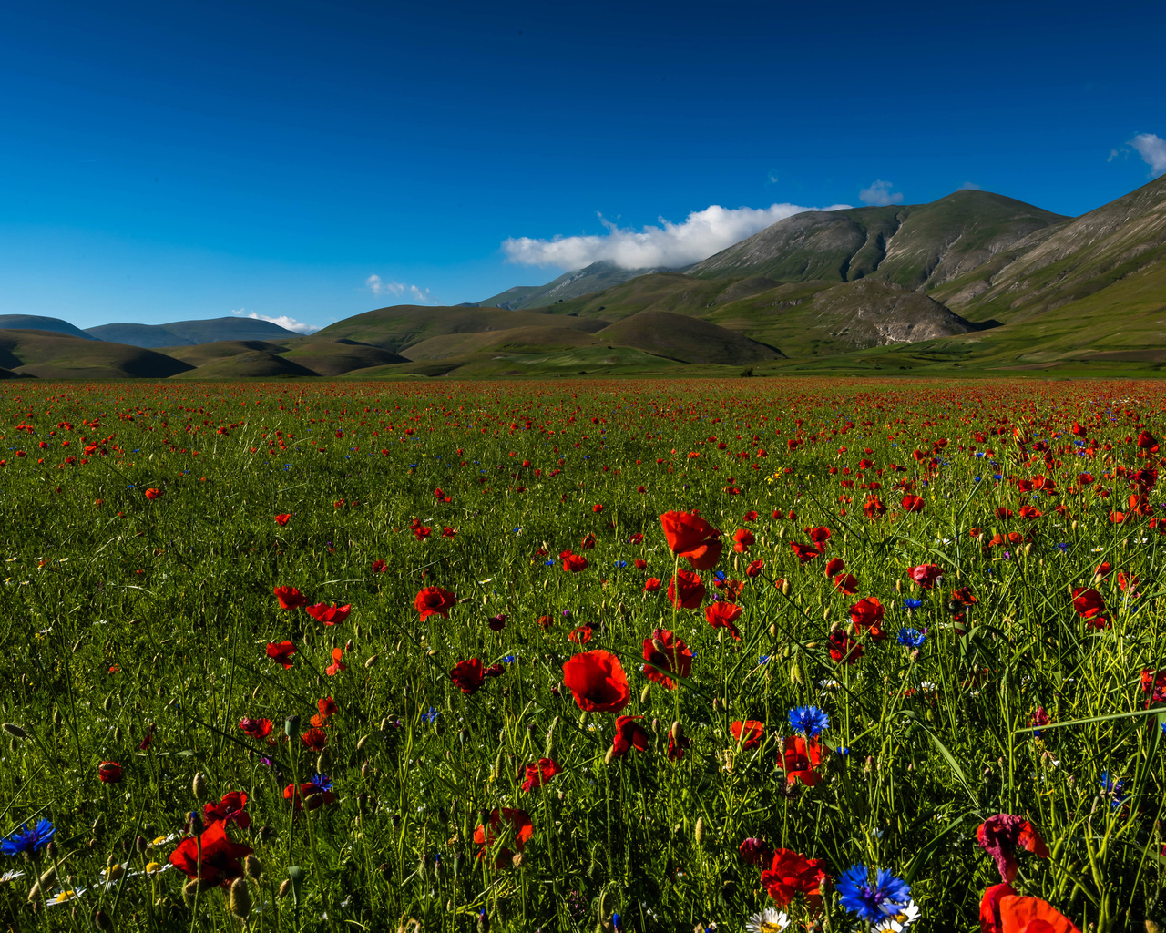 , , , , sibillini national park, , 