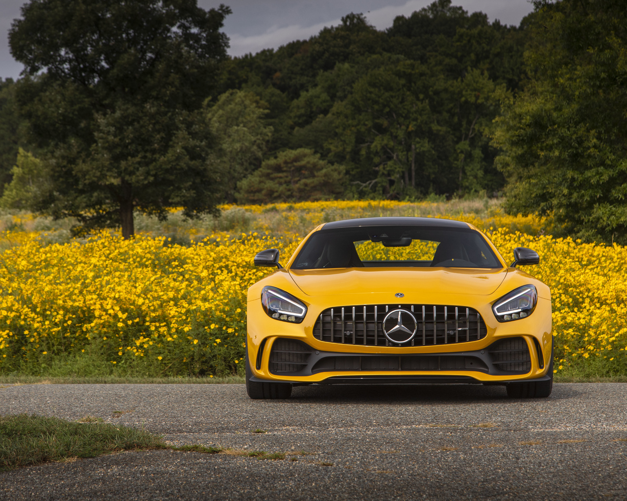 mercedes, amg, gt r