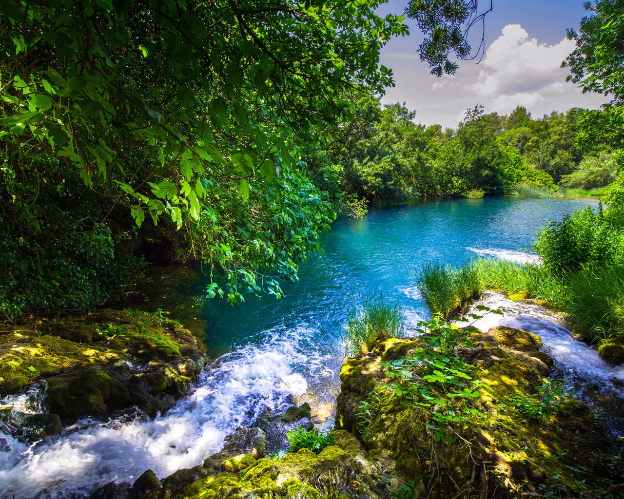 krka river, forest, river, beautiful landscape, krka national park, croatia