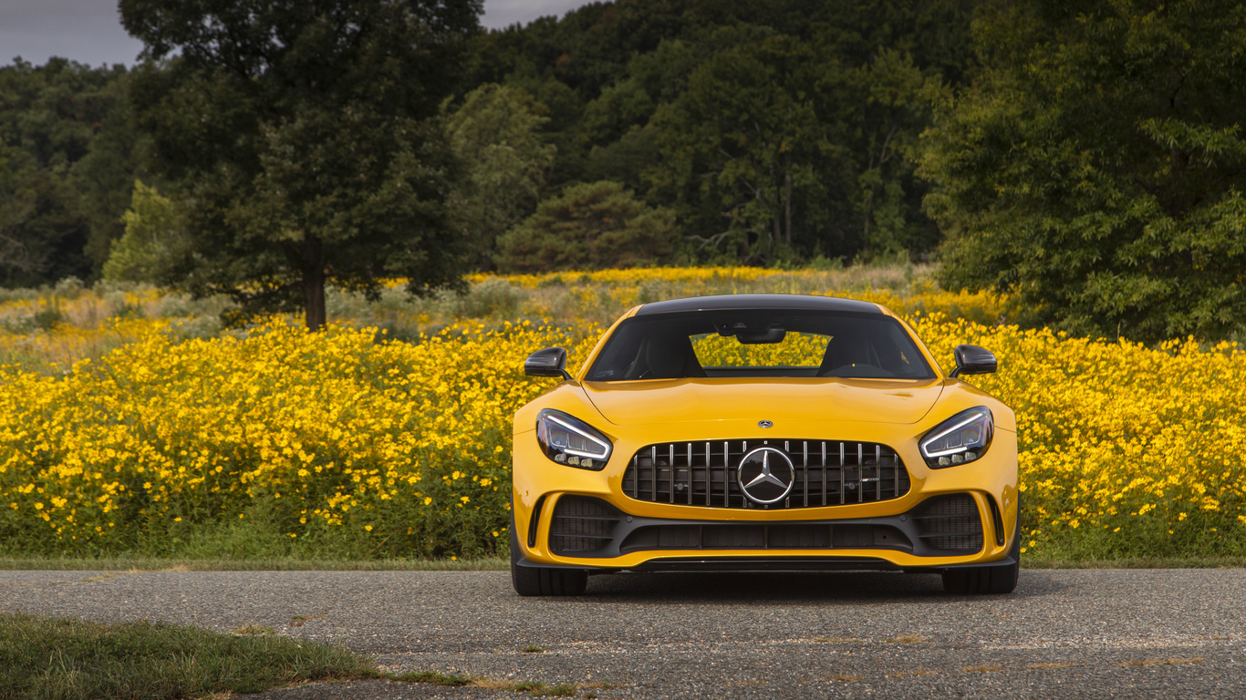 mercedes, amg, gt r