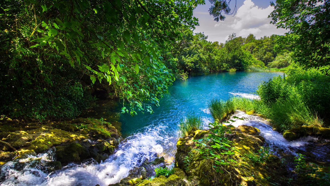 krka river, forest, river, beautiful landscape, krka national park, croatia