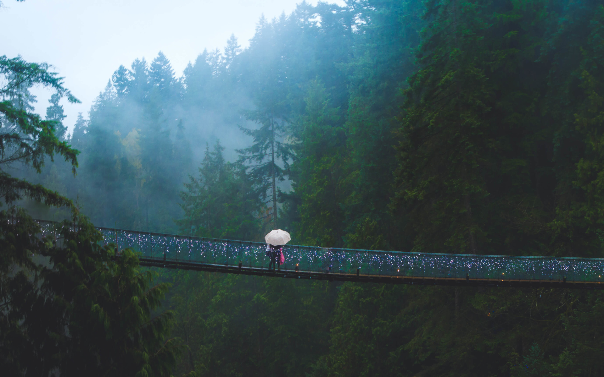 capilano, suspension bridge, west vancouver, canada